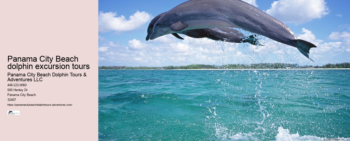 Panama City Beach dolphin excursion tours